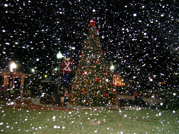 Christmas tree surrounded by falling snow